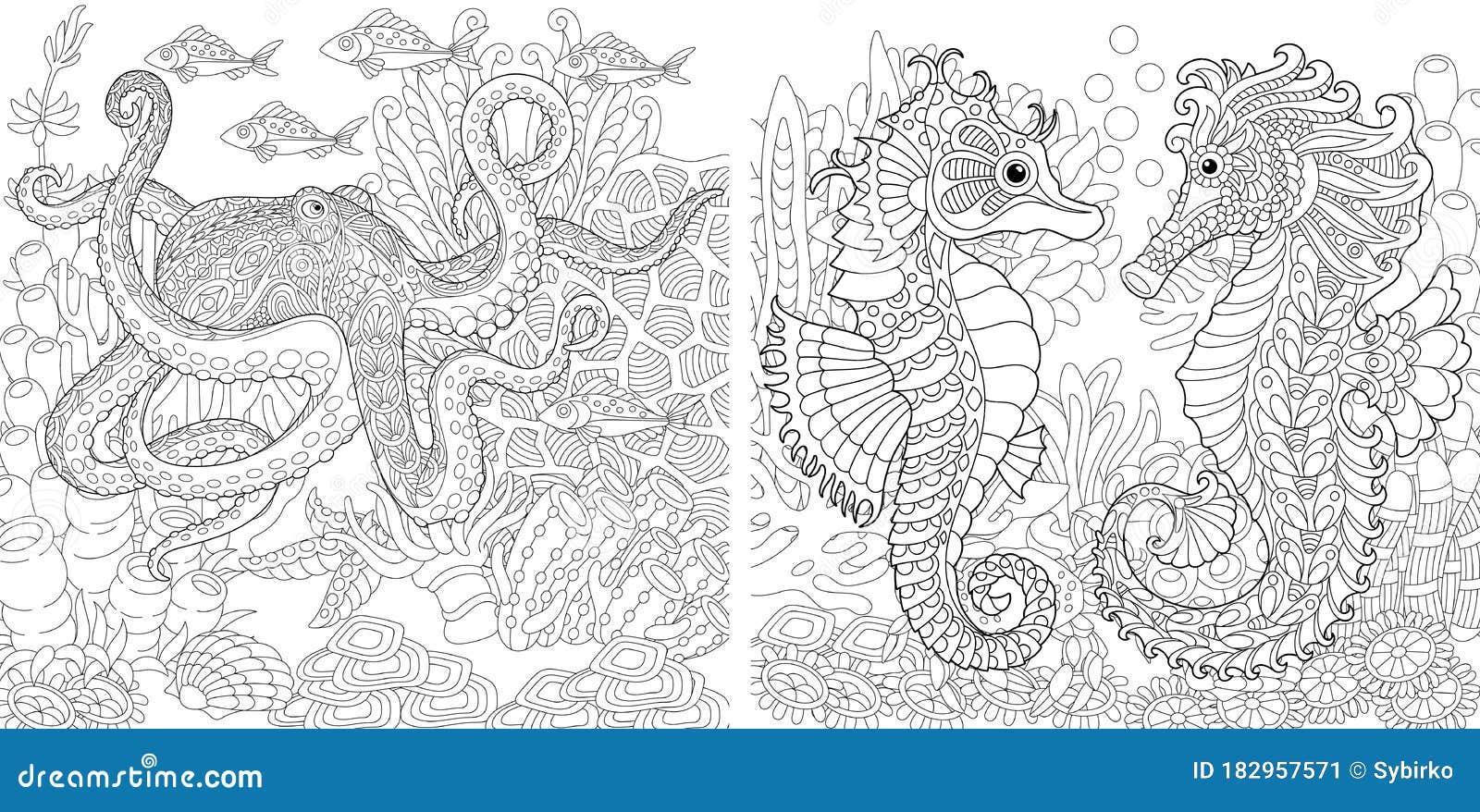 Coloring Pages With Octopus And Seahorse Stock Vector Illustration Of Drawing Ocean 182957571