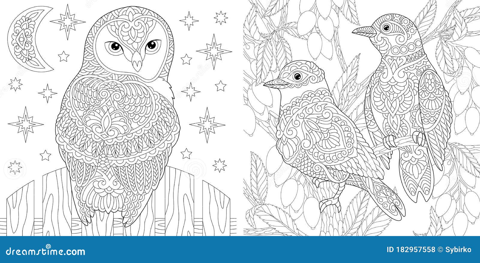 free printable adult coloring pages owl