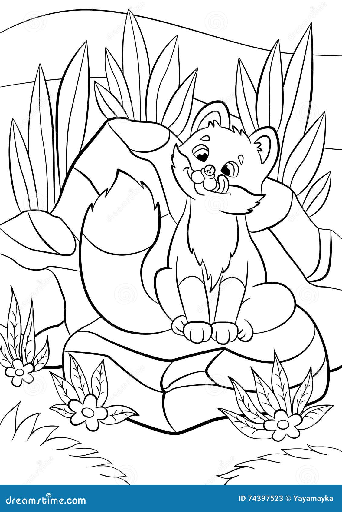Coloring Pages. Wild Animals. Little Cute Baby Fox Looks At The Bug. Stock Vector - Illustration ...