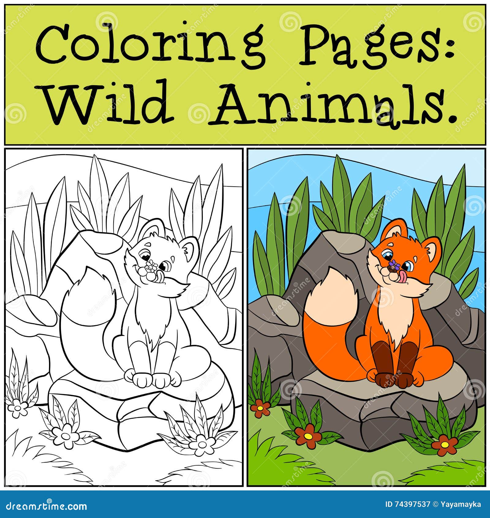 coloring pages: wild animals. little cute baby fox sits and looks at the fly.