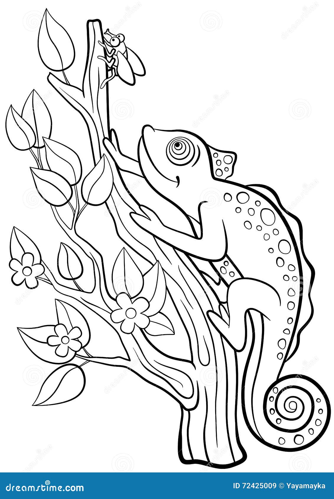 coloring pages. wild animals. little cute chameleon.