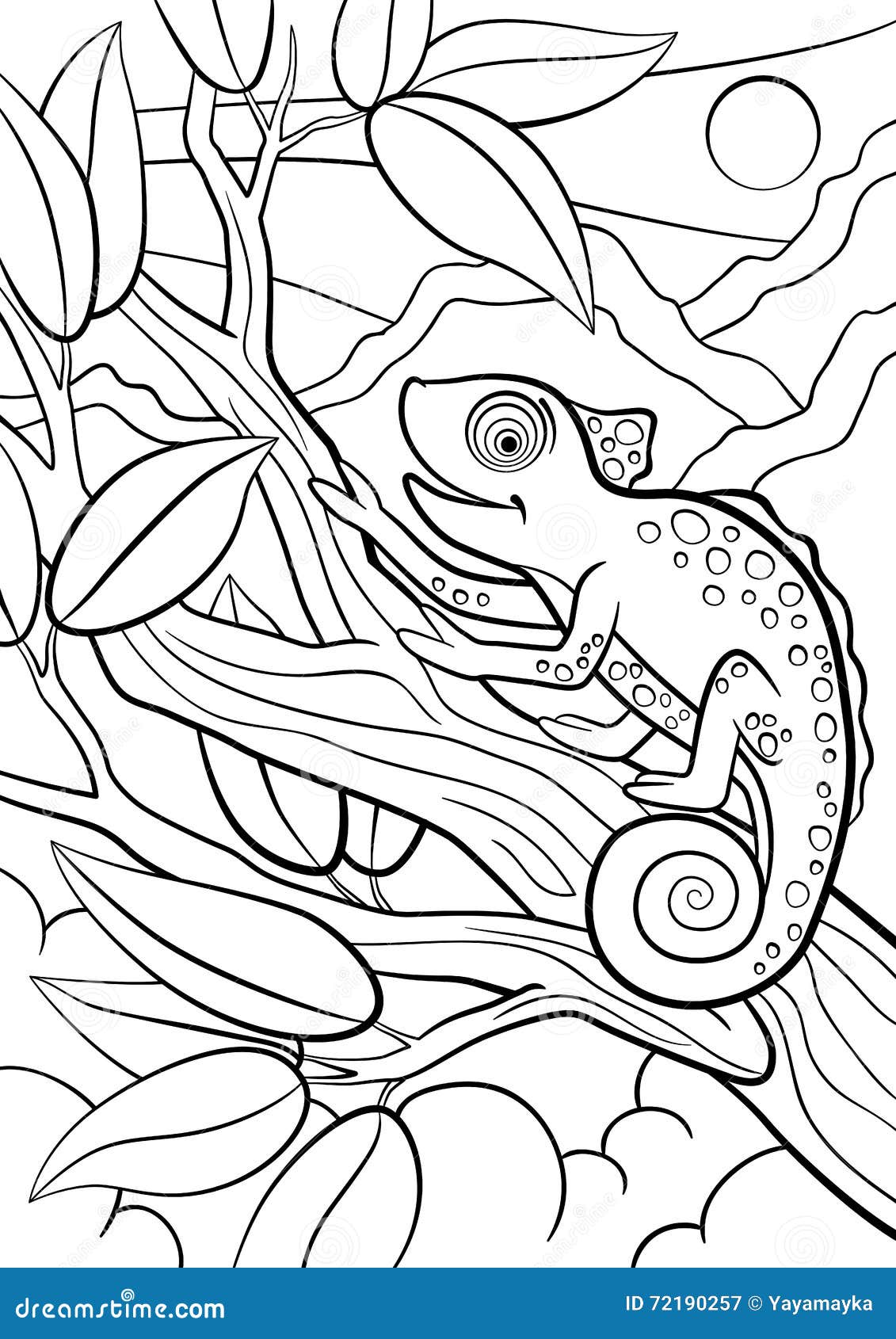 Coloring Pages Wild Animals Little Cute Chameleon Stock