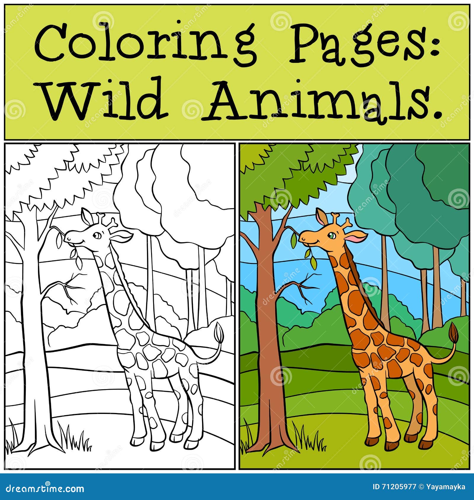 coloring pages: wild animals. little cute giraffe.