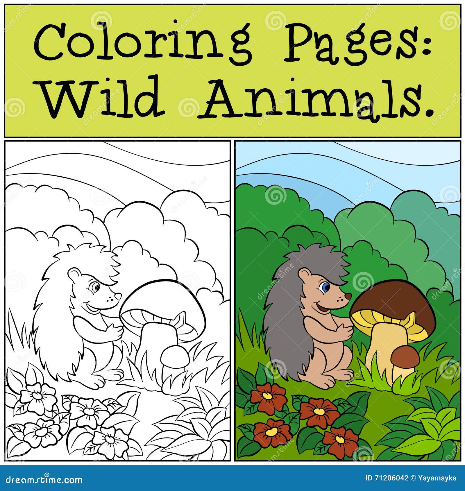 coloring pages: wild animals. little cute hedgehog.