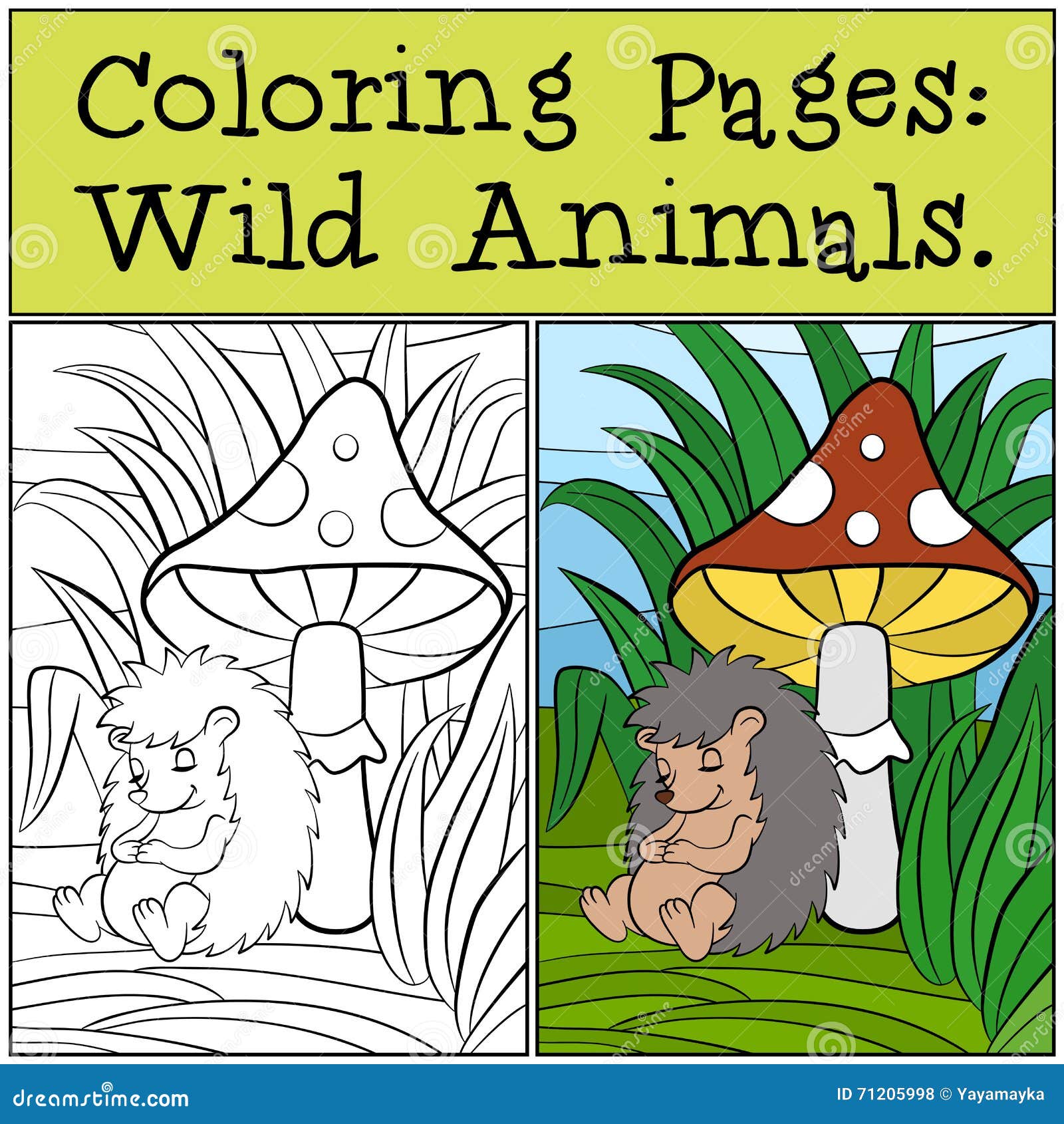 coloring pages: wild animals. little cute hedgehog .