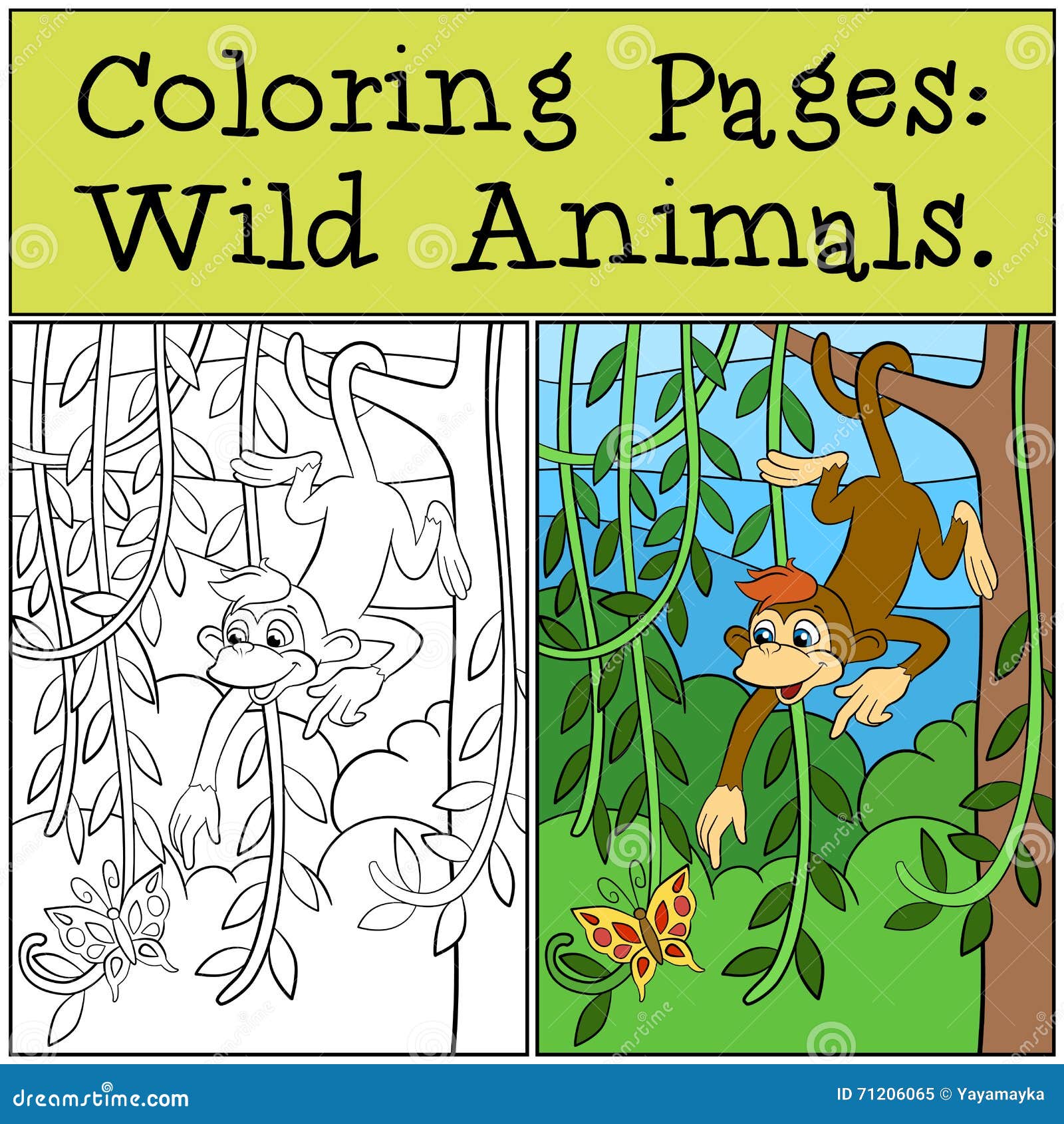 coloring pages: wild animals. little cute monkey.