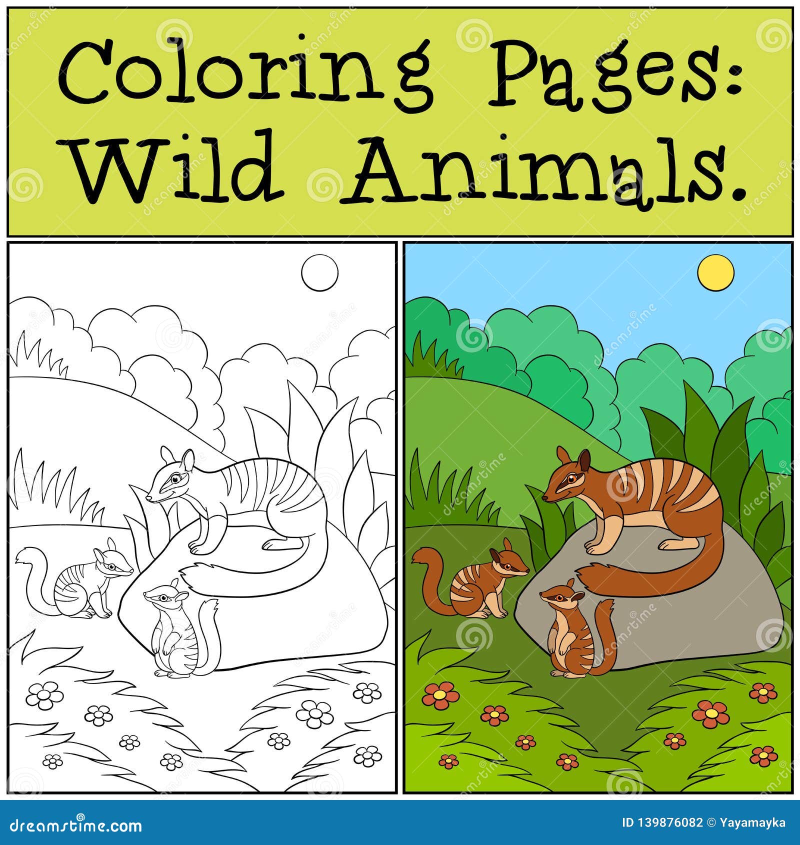 coloring pages: wild animals. little cute numbat on the log