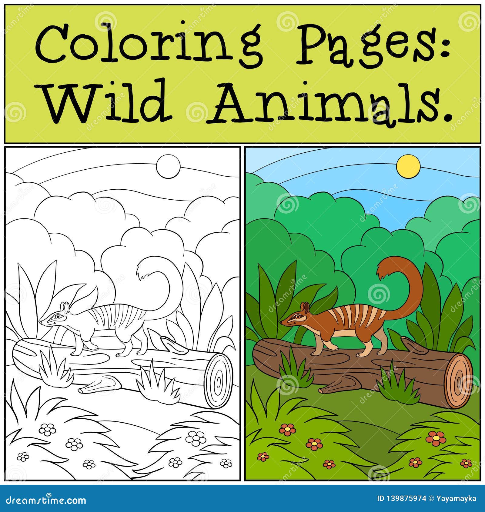 coloring pages: wild animals. little cute numbat on the log