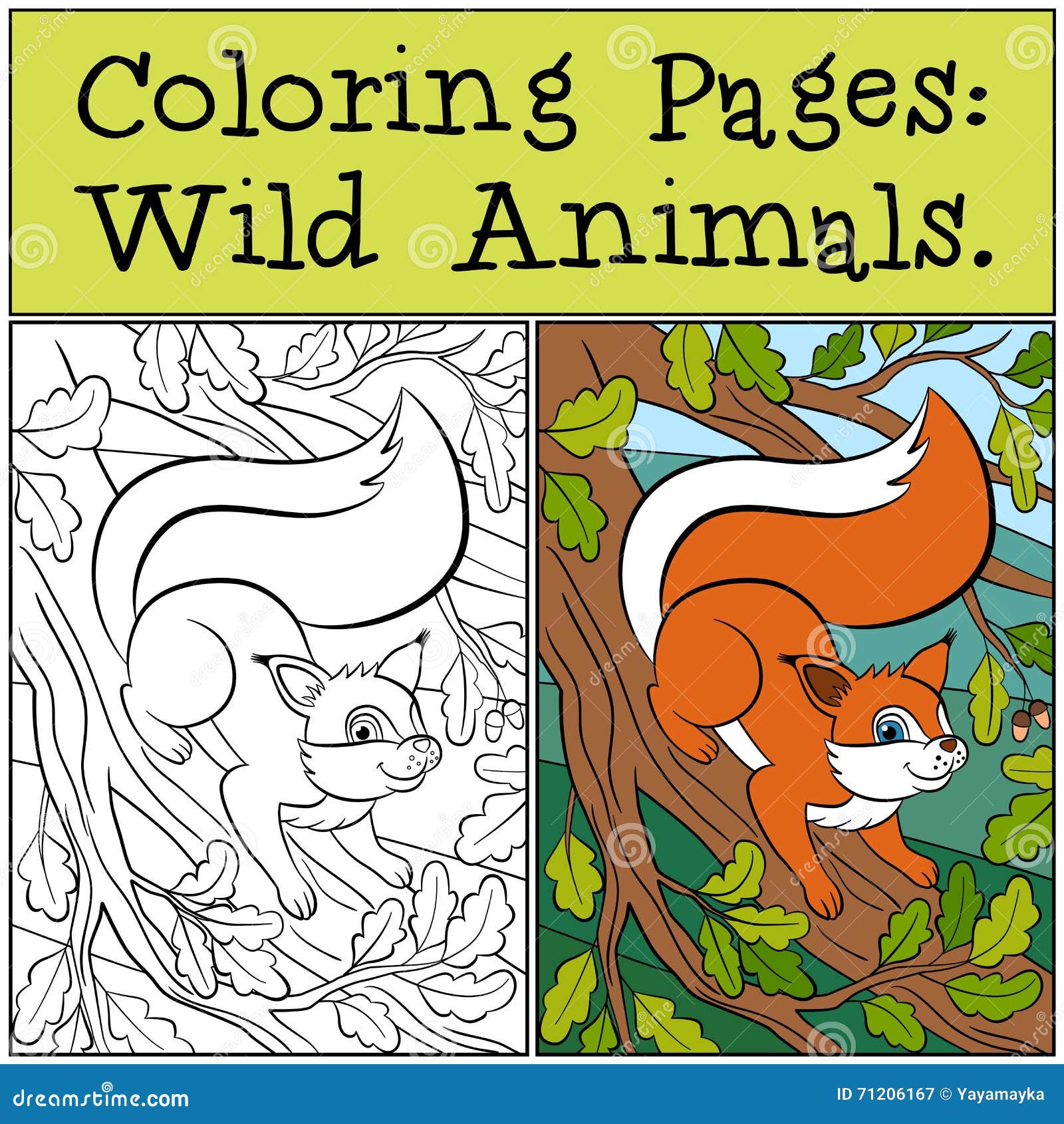 coloring pages: wild animals. little cute squirrel .