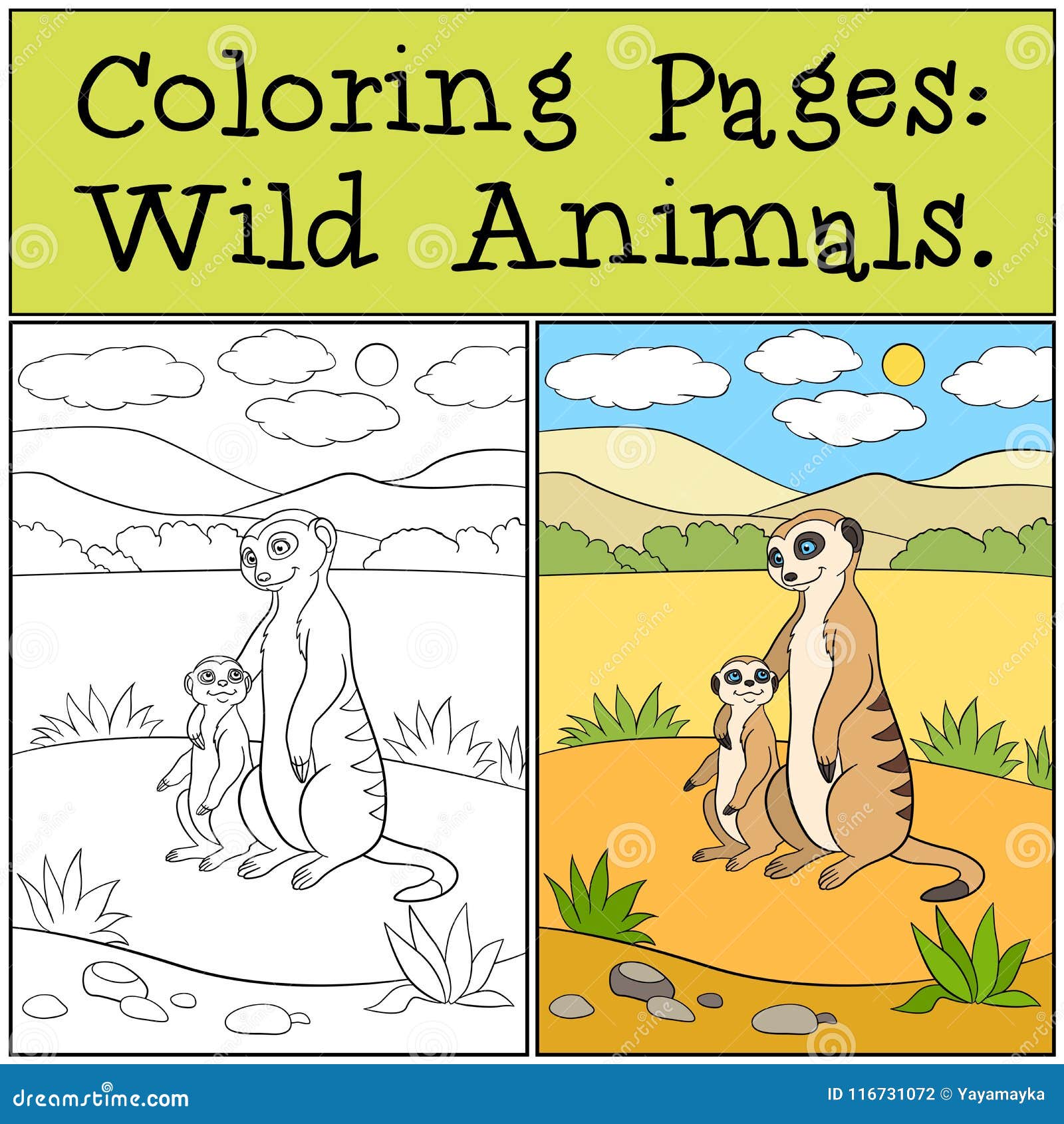 Coloring Pages: Wild Animals. Little Cute Meerkat Smiles. Stock Vector - Illustration of desert, kids: 116731072 Coloring Pages: Wild Animals. Little Cute Meerkat Smiles. Stock Vector - Illustration of desert, kids: 116731072