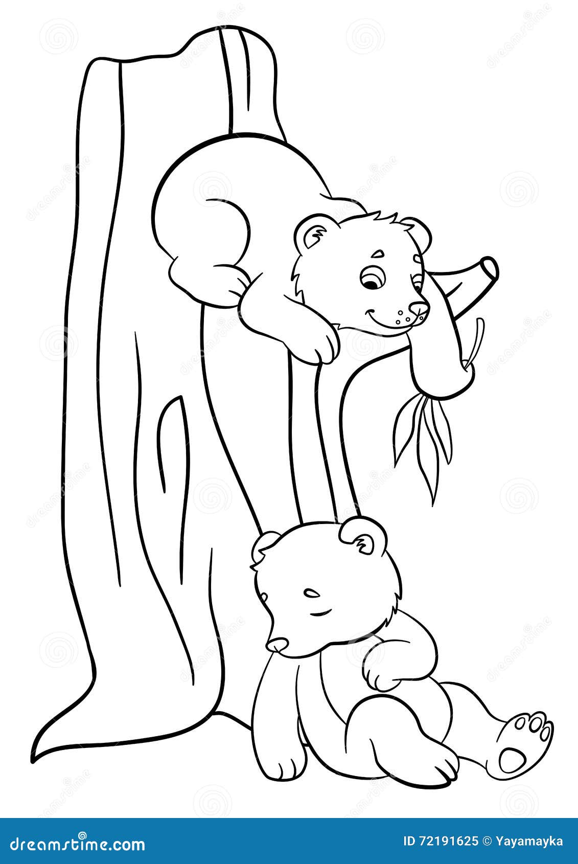 Coloring pages Wild animals Two little cute baby bears