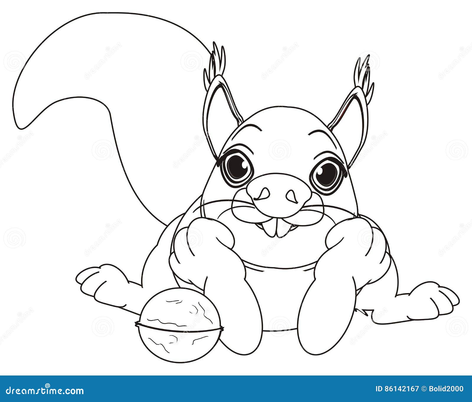 Coloring Squirrel with a Nut Stock Illustration - Illustration of ...