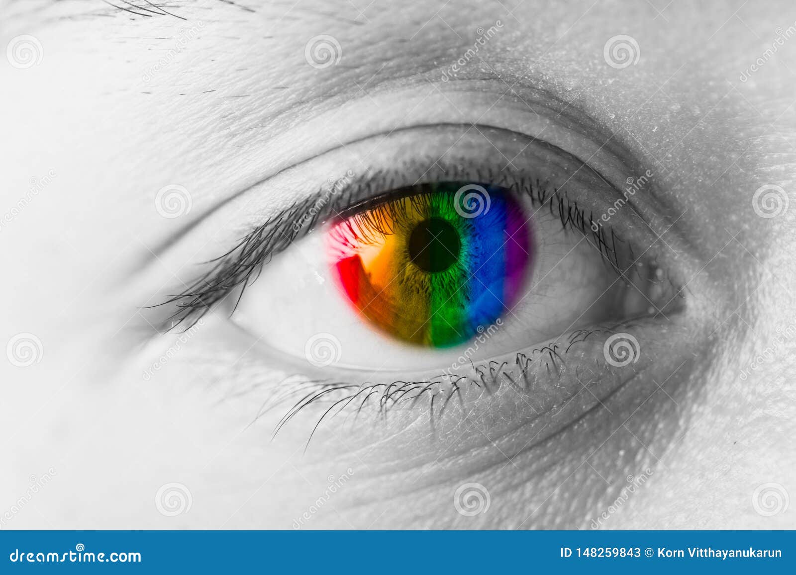 Colors Eyes Vision Concept Lgbt Rainbow Stock Image Image Of