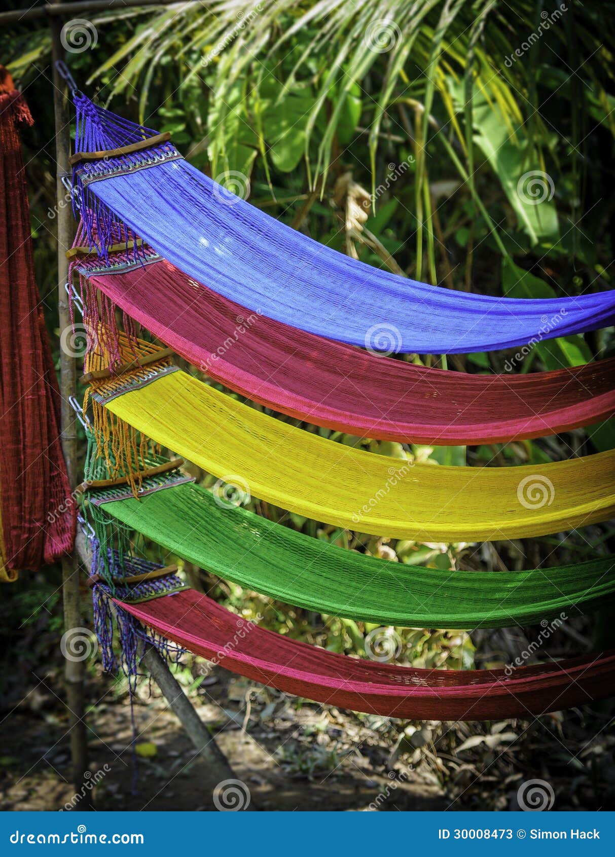 coloured hammocks