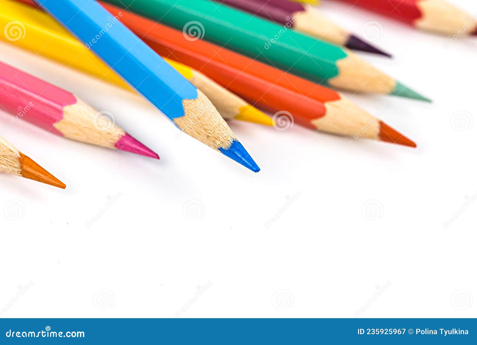 Coloured Pencil on White Background Stock Image Image of color