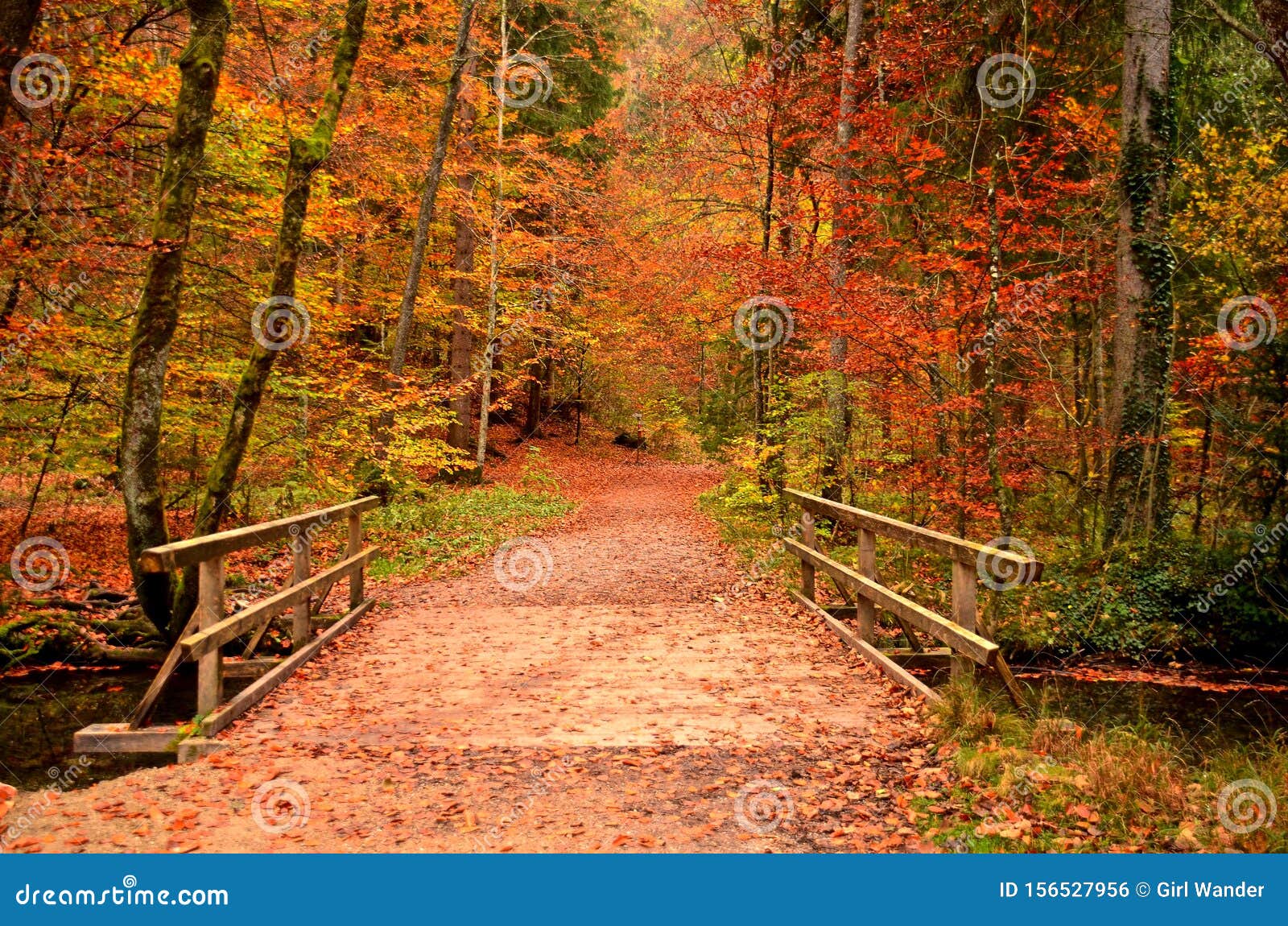 Colourful Autumn/fall Foliage in Bavaria, Germany Stock Photo - Image