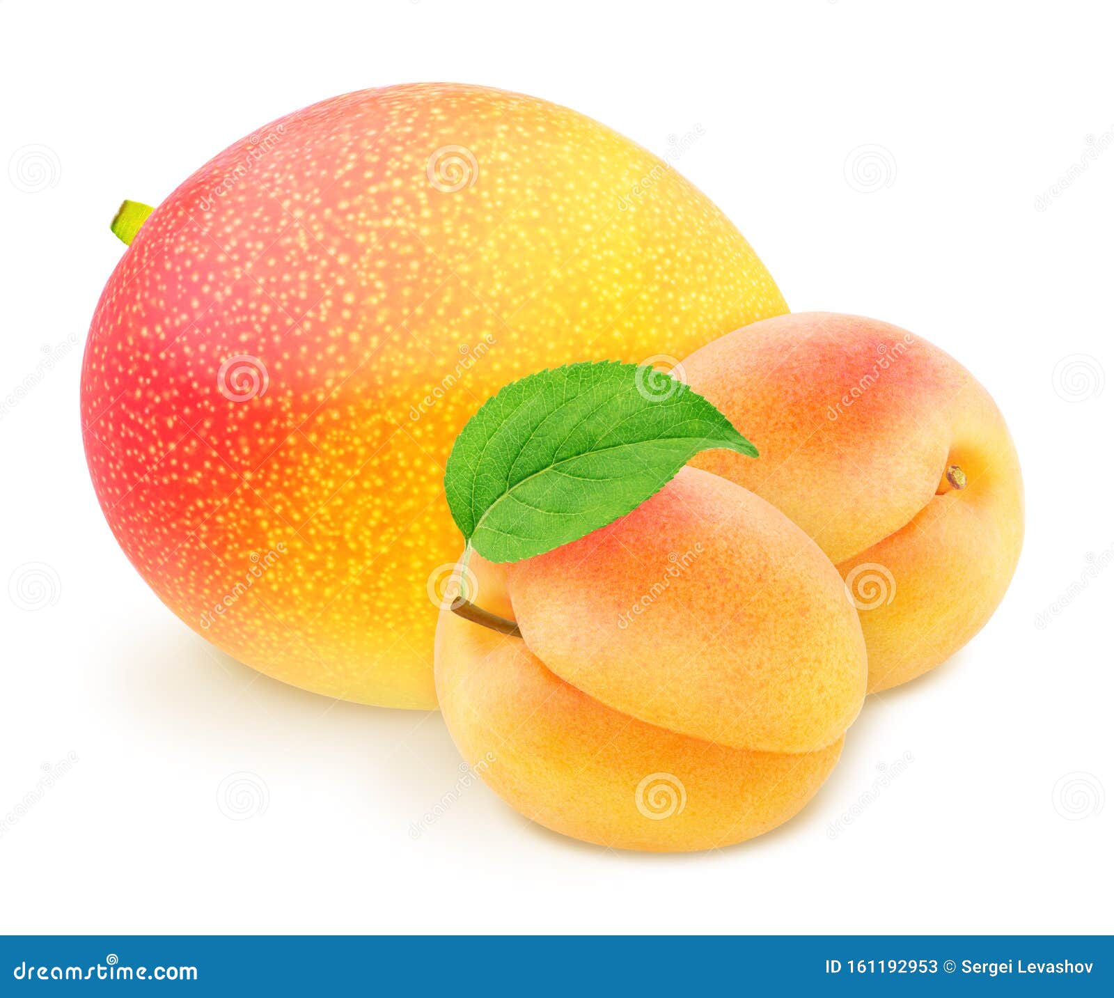 Colourful Composition with Fruit Mix Apricot and Mango Isolated on a