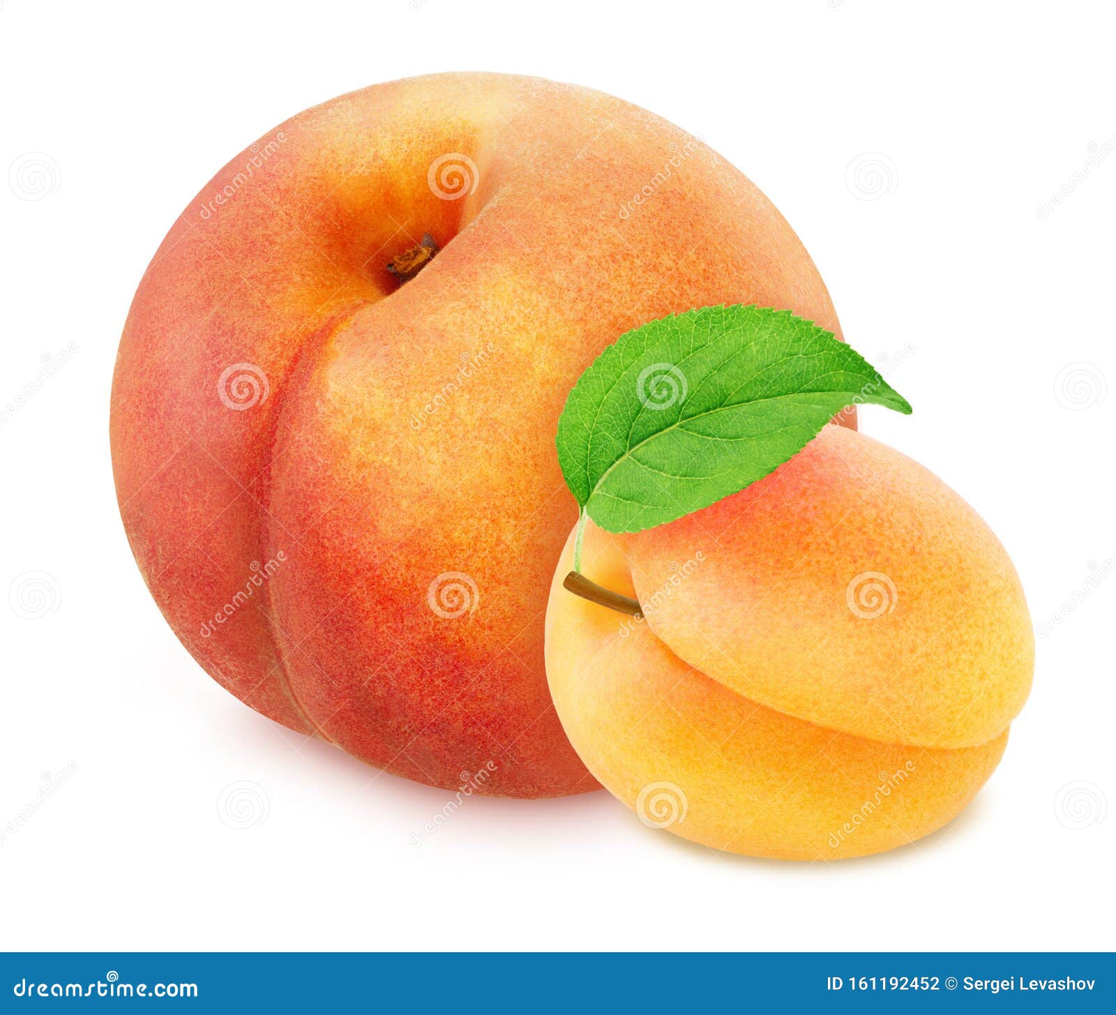Colourful Composition with Fruit Mix Peach and Apricot on a White Background with Clipping