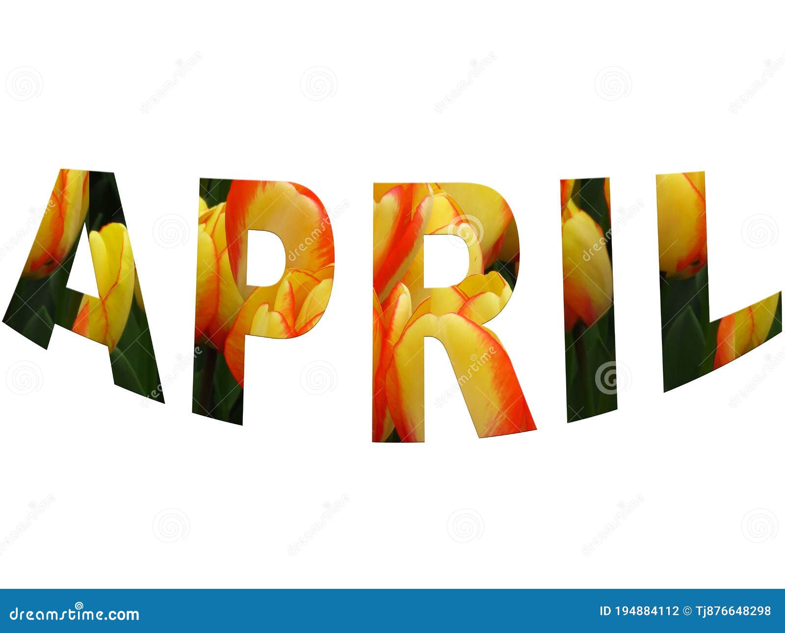 Wordle Word April 24th