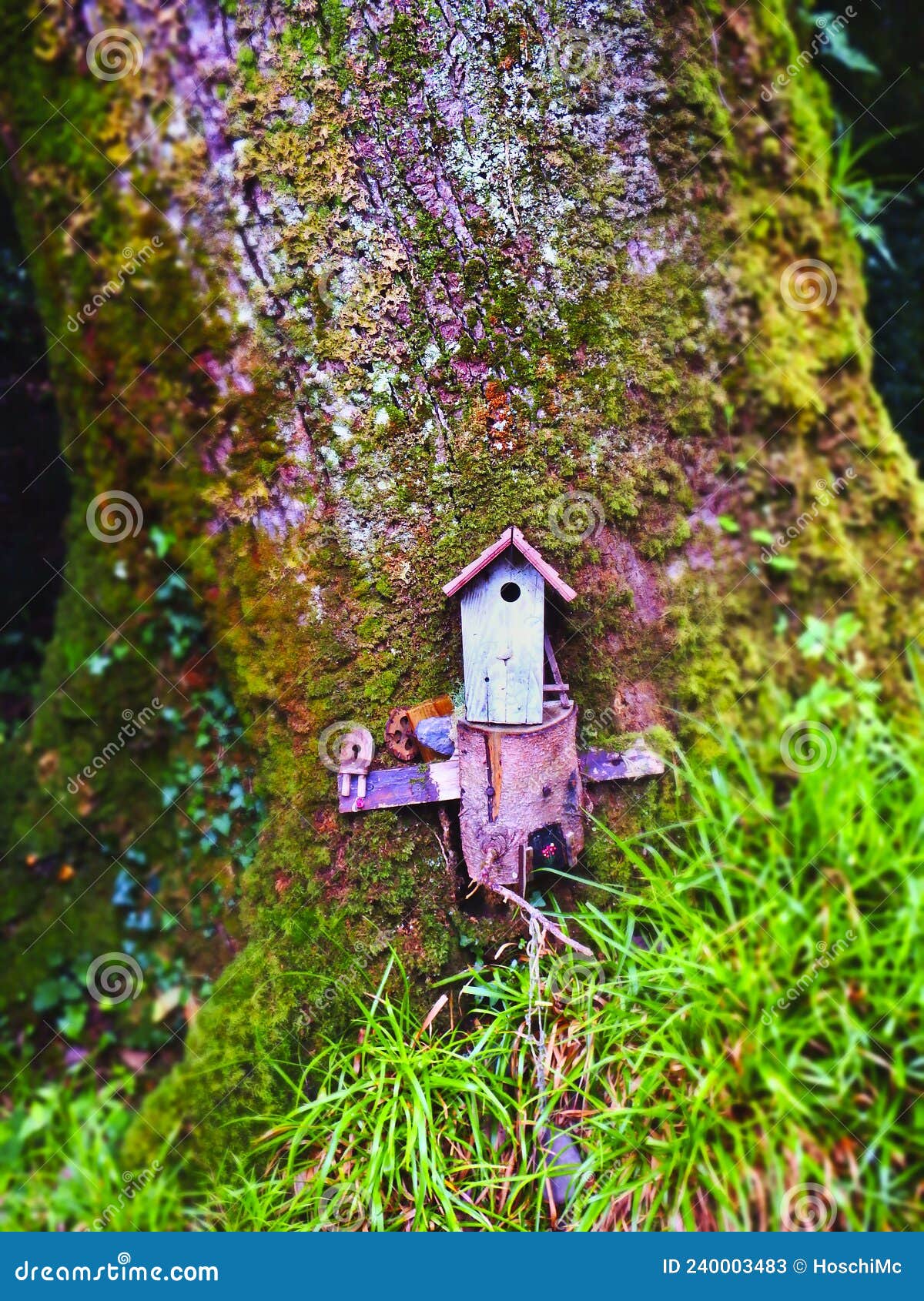 Colourful Fairy House in the Irish Forest Stock Image Image of colorful, fairies 240003483