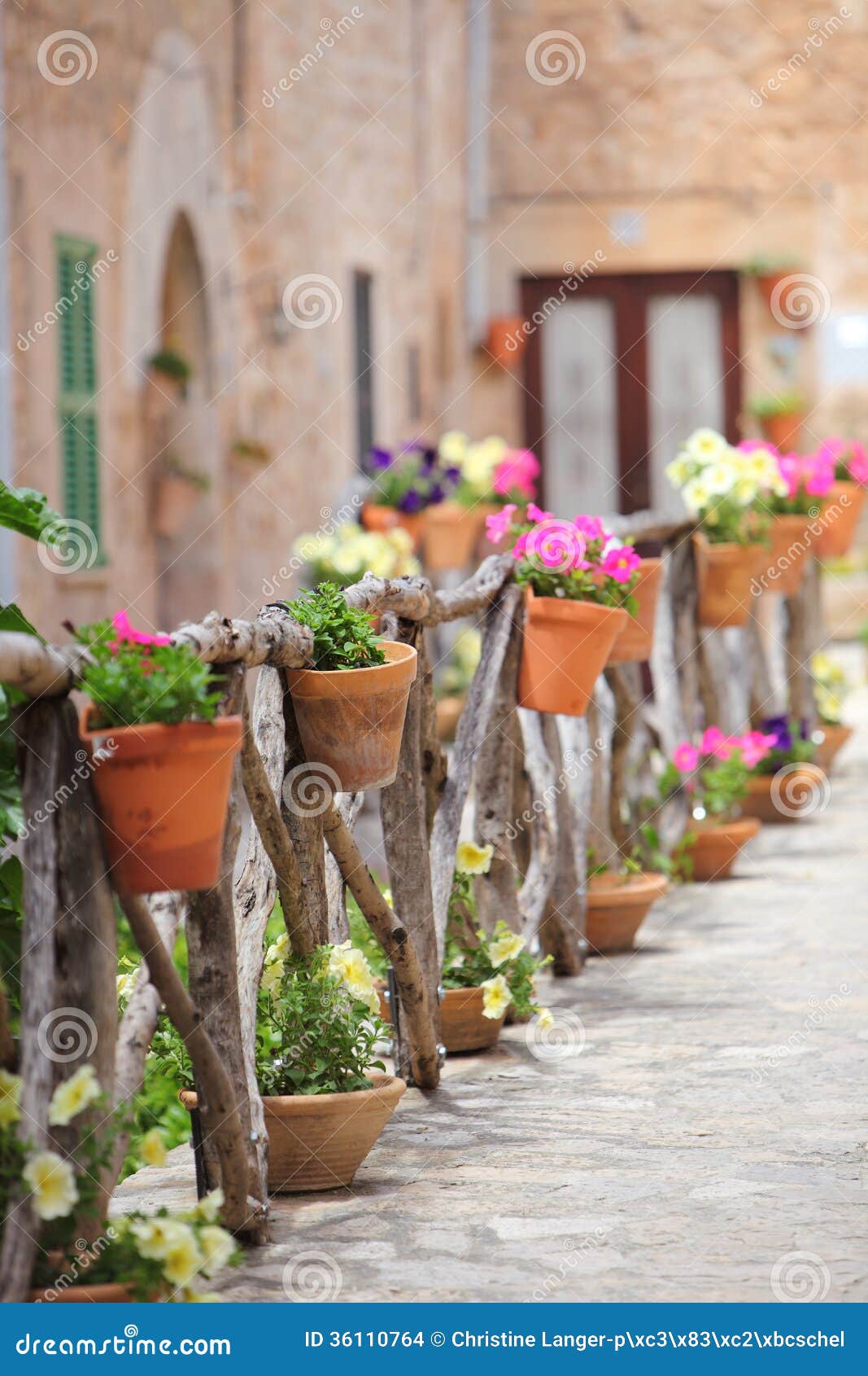 colourful flowers on a rustic wooden fence outside stock