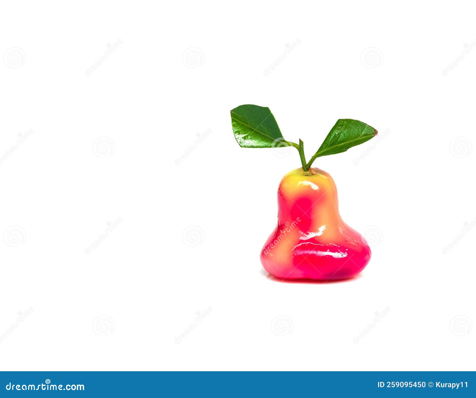 Endure Classification Early Luk Chup Stock Photos - Free & Royalty-Free Stock Photos from Dreamstime Endure Classification Early Luk Chup Stock Photos - Free & Royalty-Free Stock Photos from Dreamstime