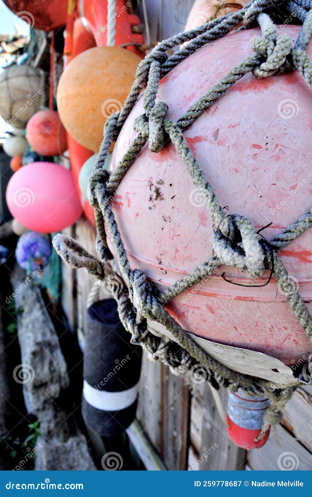 Colourful Old Fishing Floats and Buoys Strung Along a Boatyard Wall Stock  Image - Image of nautical, decoration: 259778687