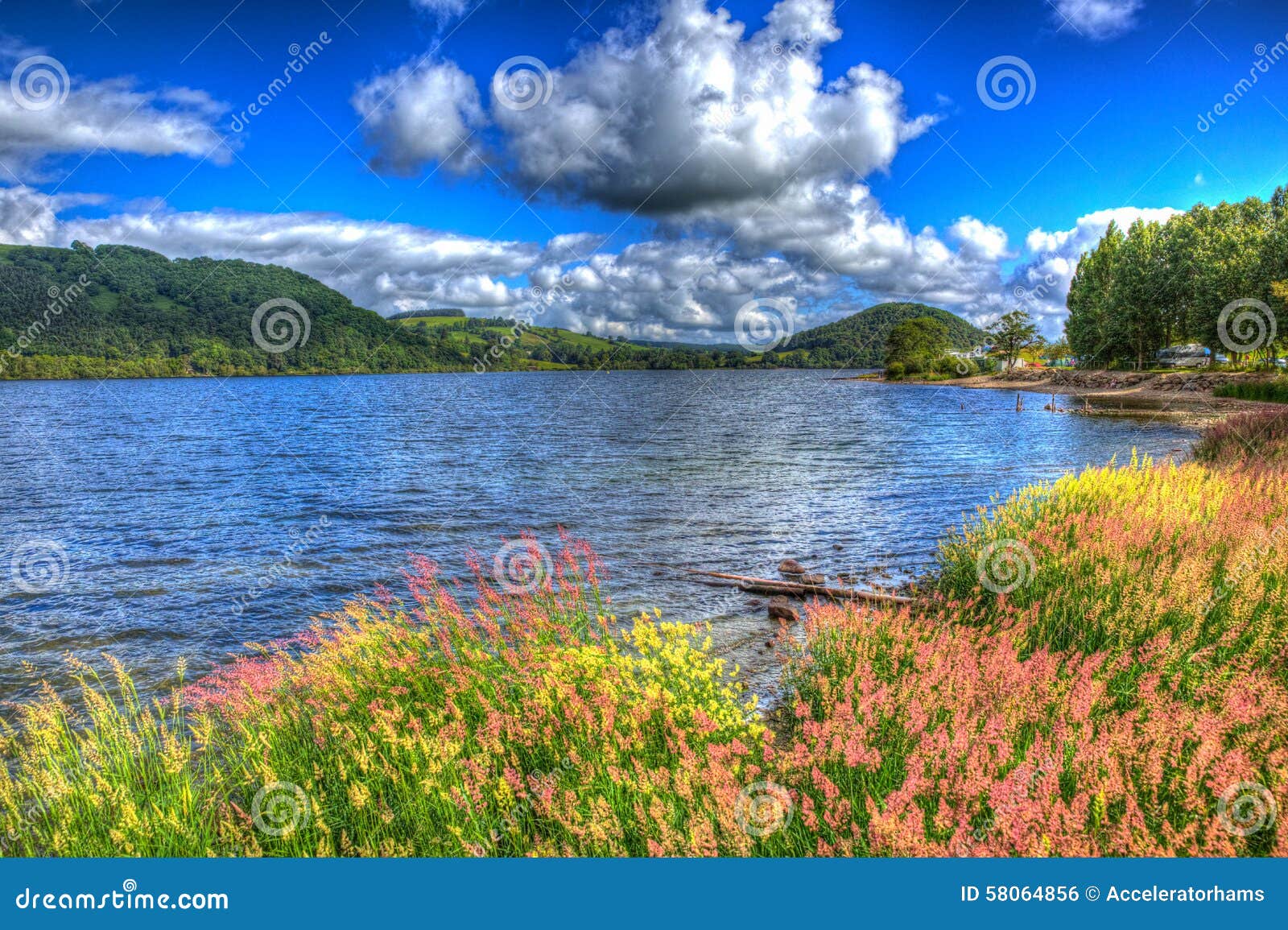 colourful reeds and grasses by ullswater the lake district cumbria england uk with cloudscape hdr