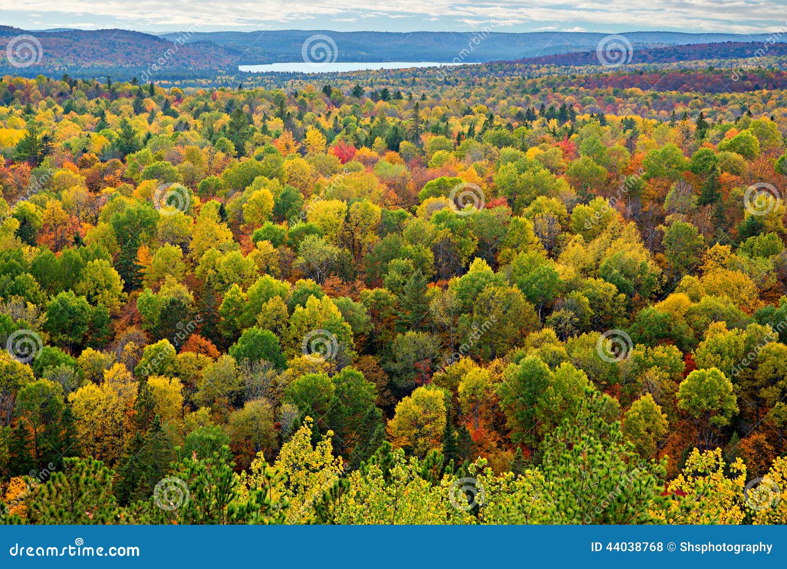 Colourful Tree Tops in an Autumn Forest Stock Photo - Image of