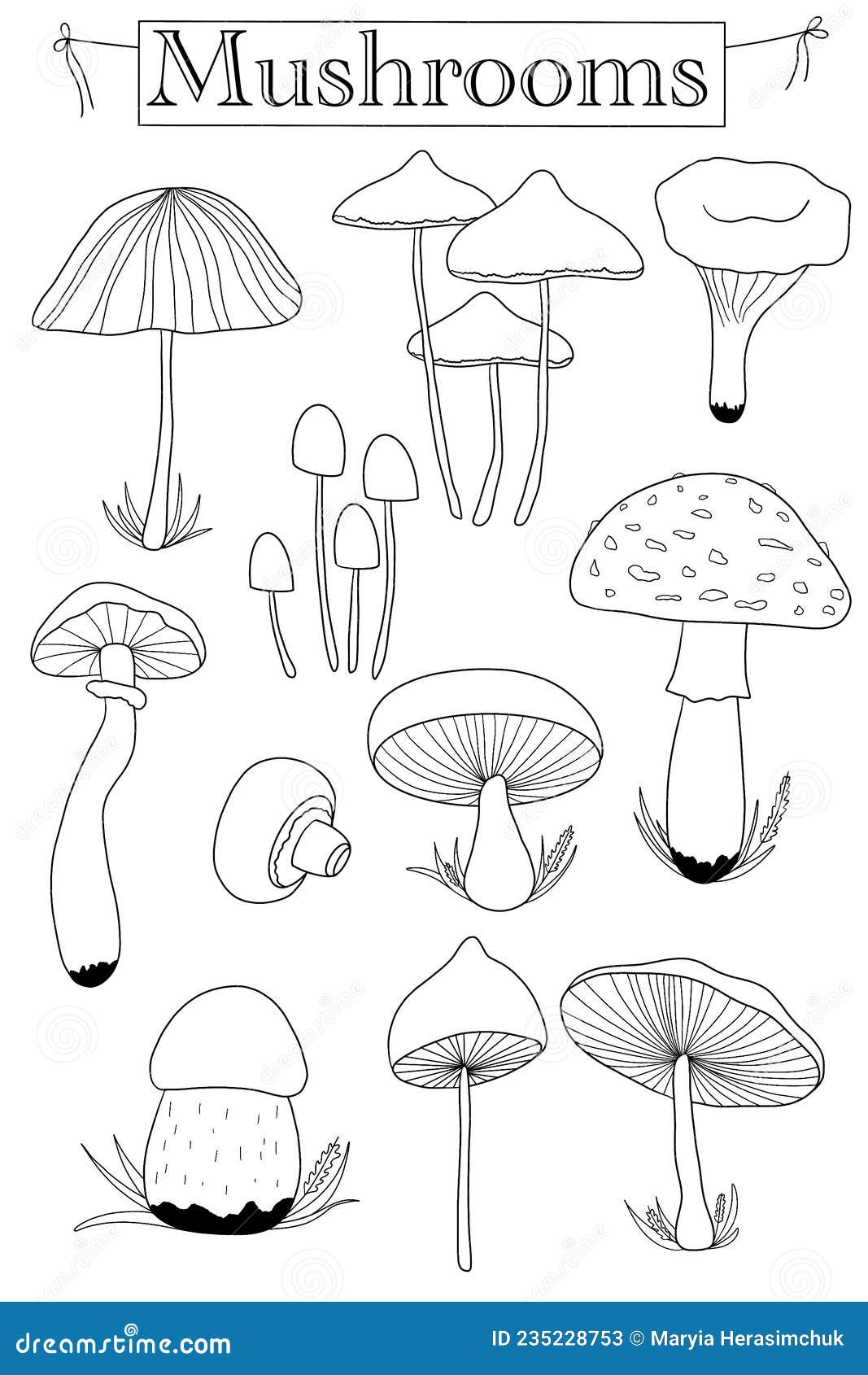 Colouring Page with Animals and Nature Stock Illustration
