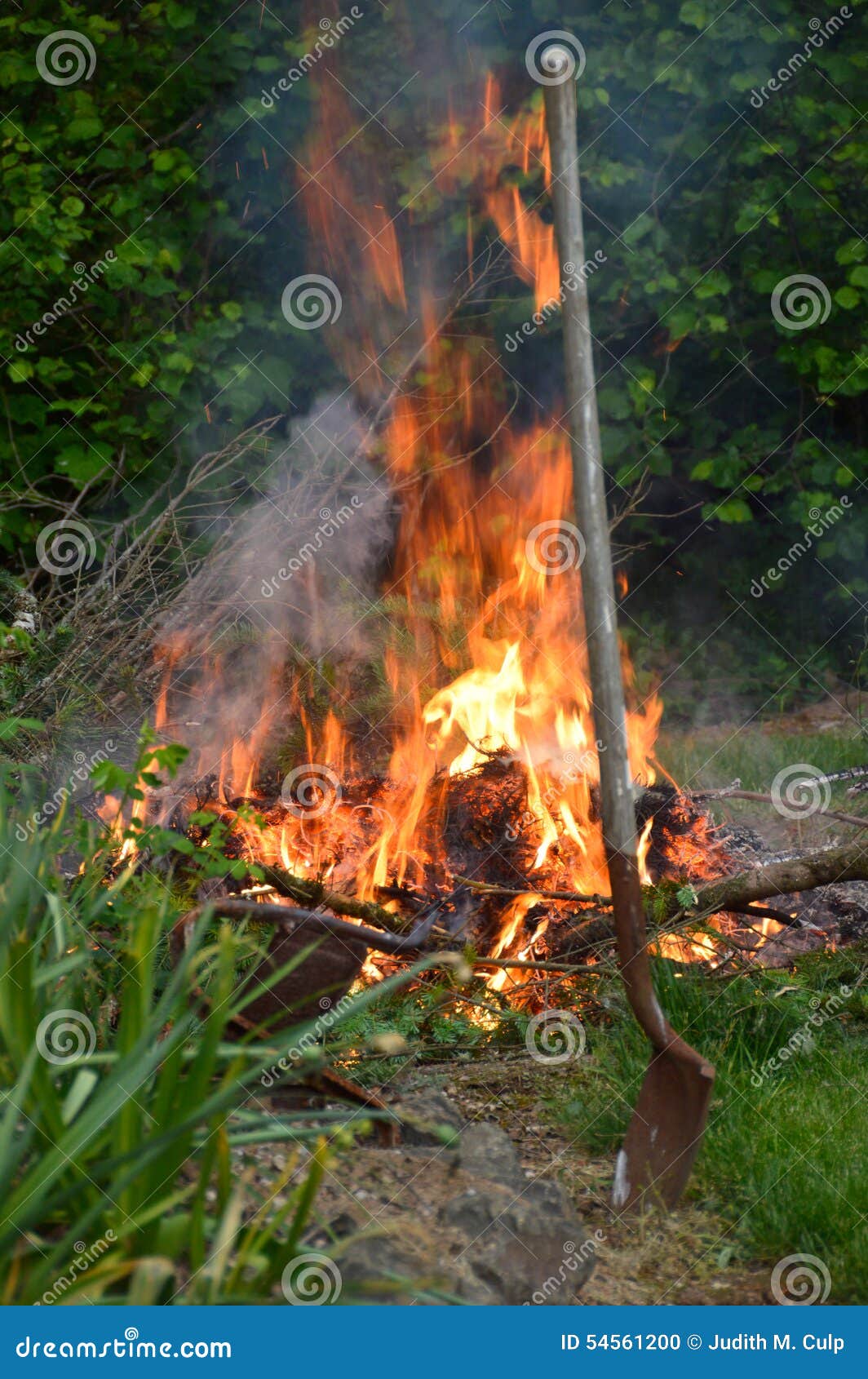 Coltivi il taglio bruciante del falò con la fiamma ed il fumo vaghi