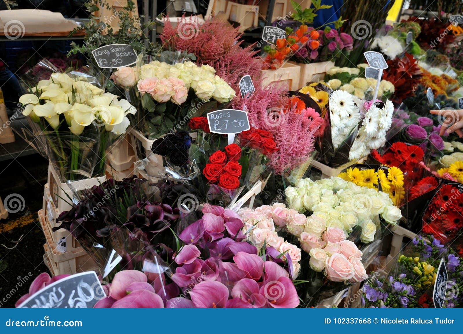 Columbia Road Flower Market London , Uk Editorial Stock Photo - Image ...