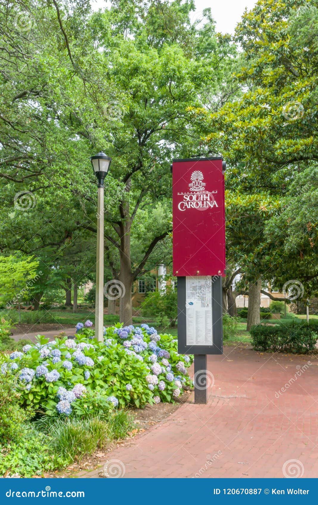 Campus Walkway And Gardens At University Of South Carolina