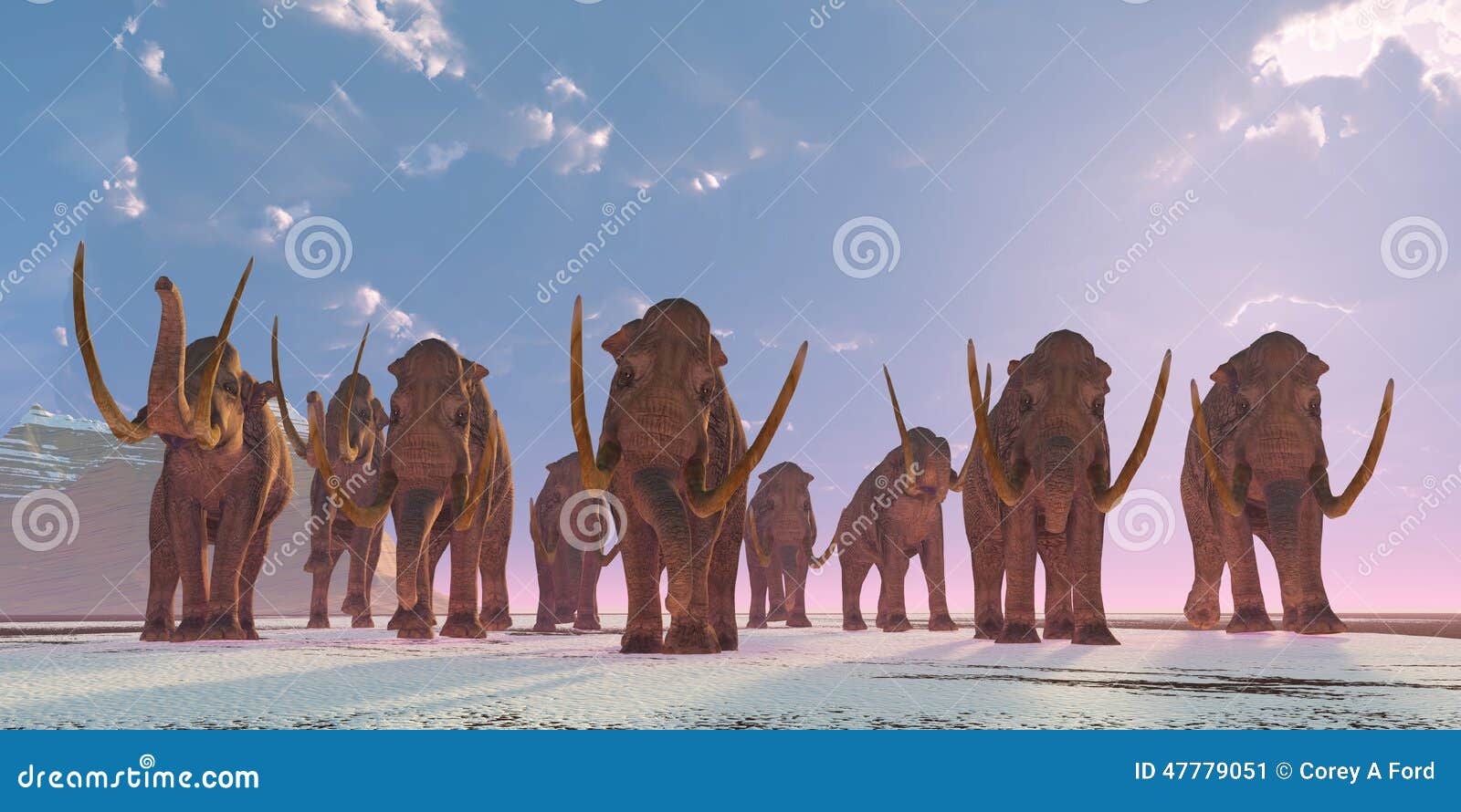 columbian mammoth herd