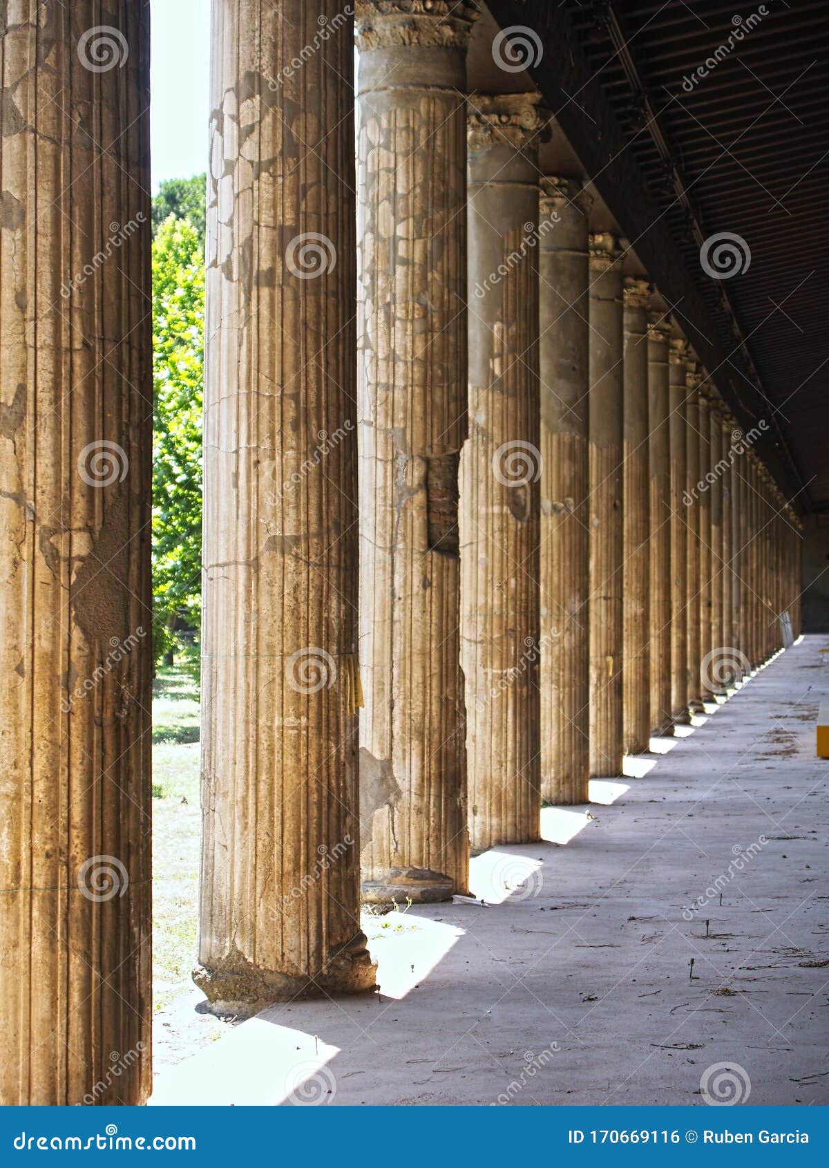 columns of palestra grande of pompeii italy