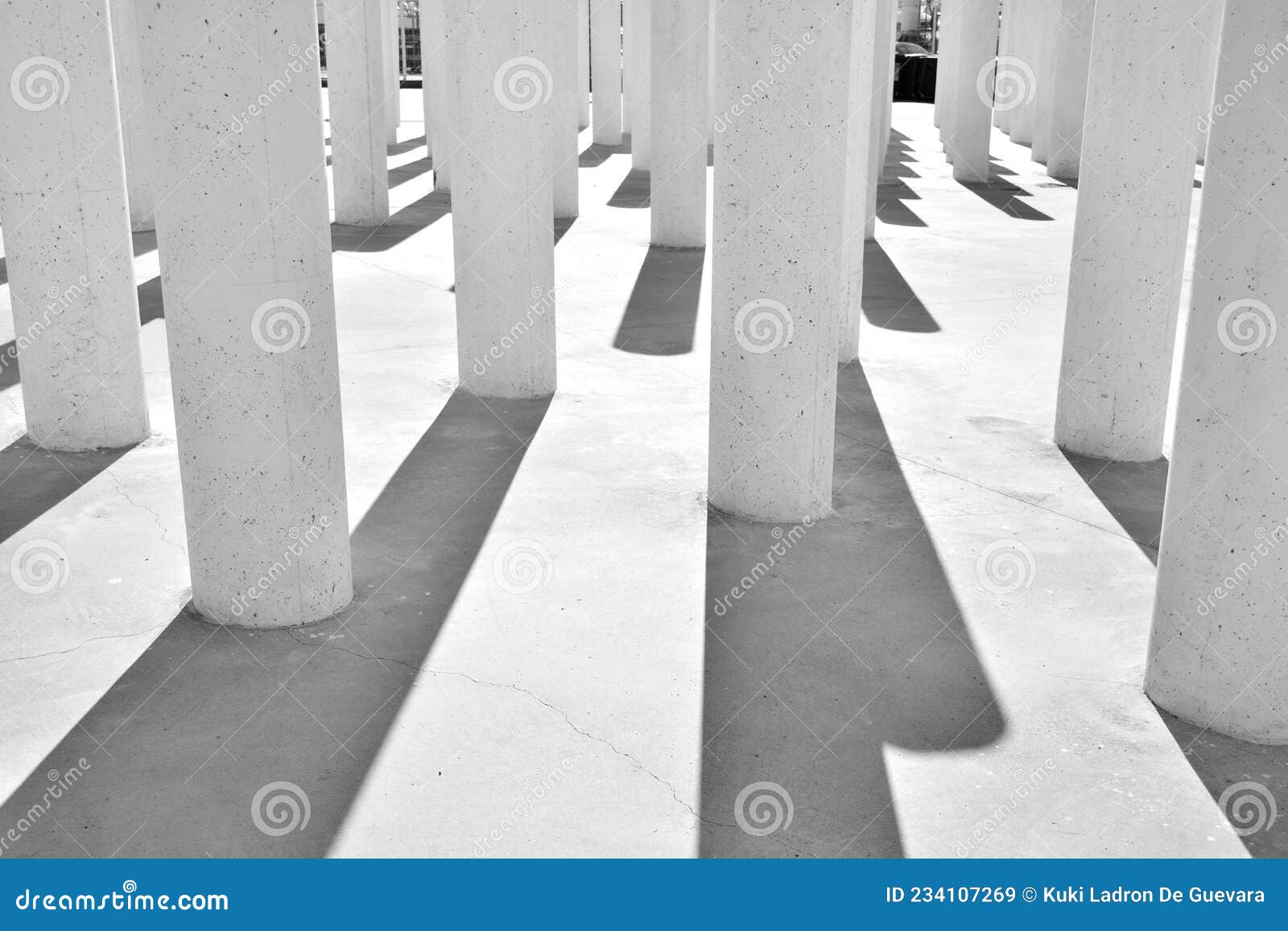 columns and their shadows, black and white