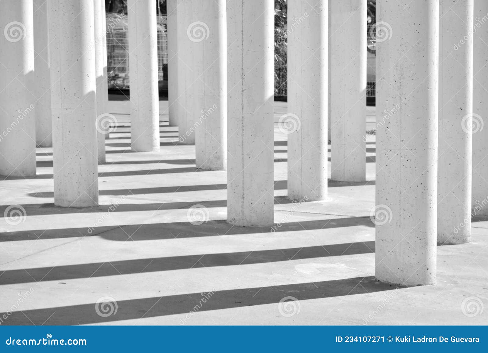 columns and their shadows, black and white