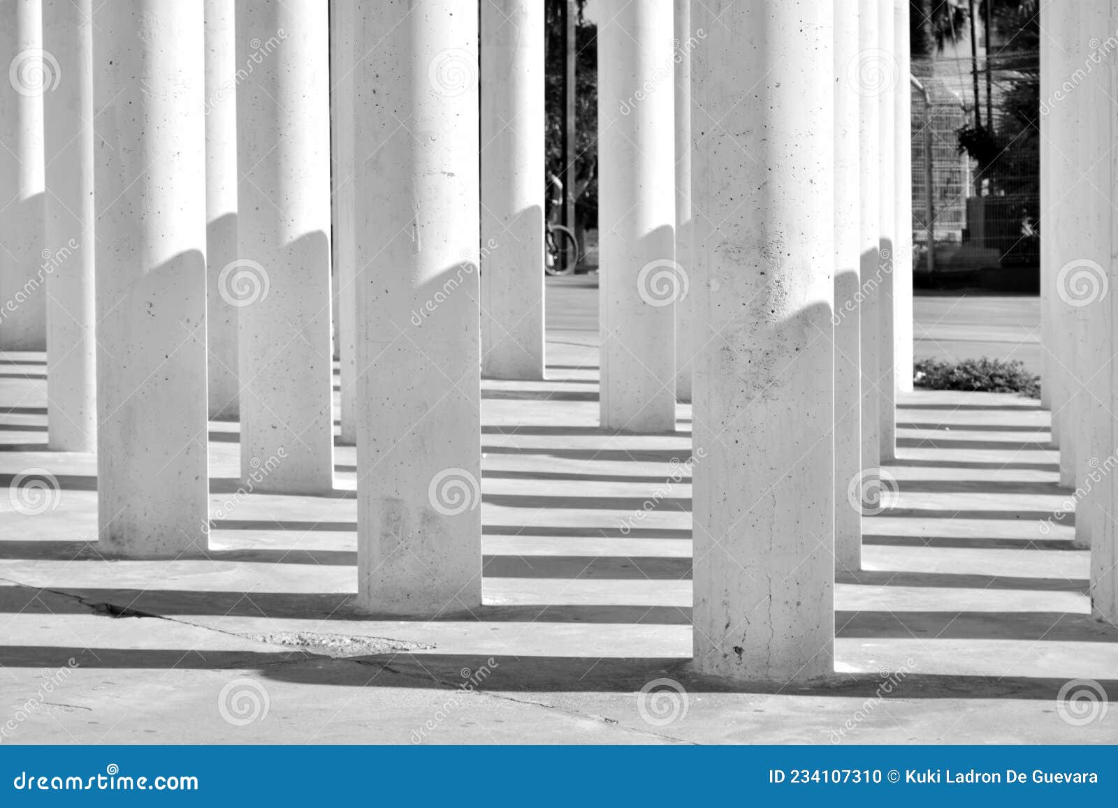 columns and their shadows, black and white
