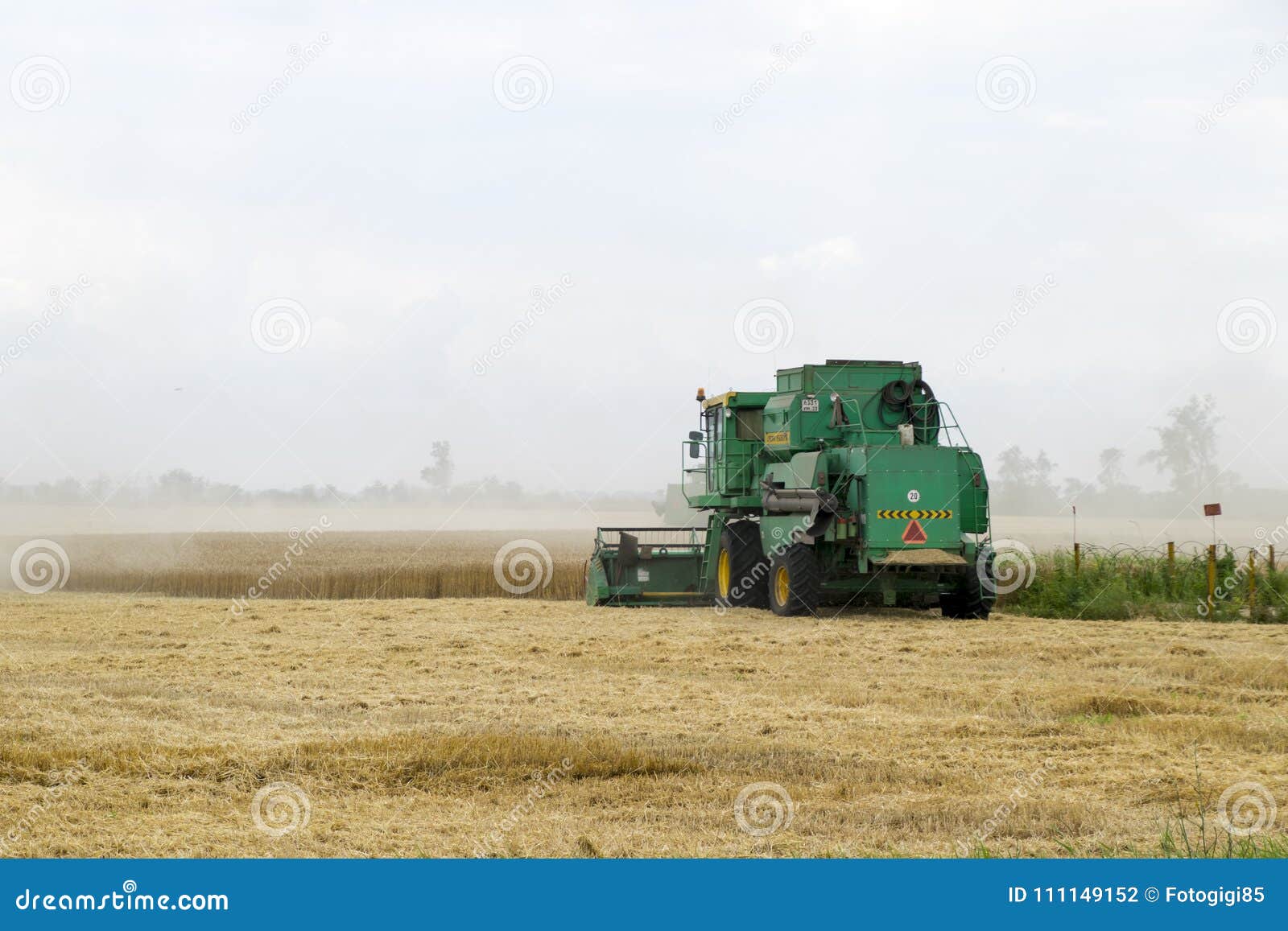 Rusia, Temryuk - 1 de julio de 2016: Combain recoge en la cosecha del trigo Maquinaria agrícola en el campo Cosecha de grano