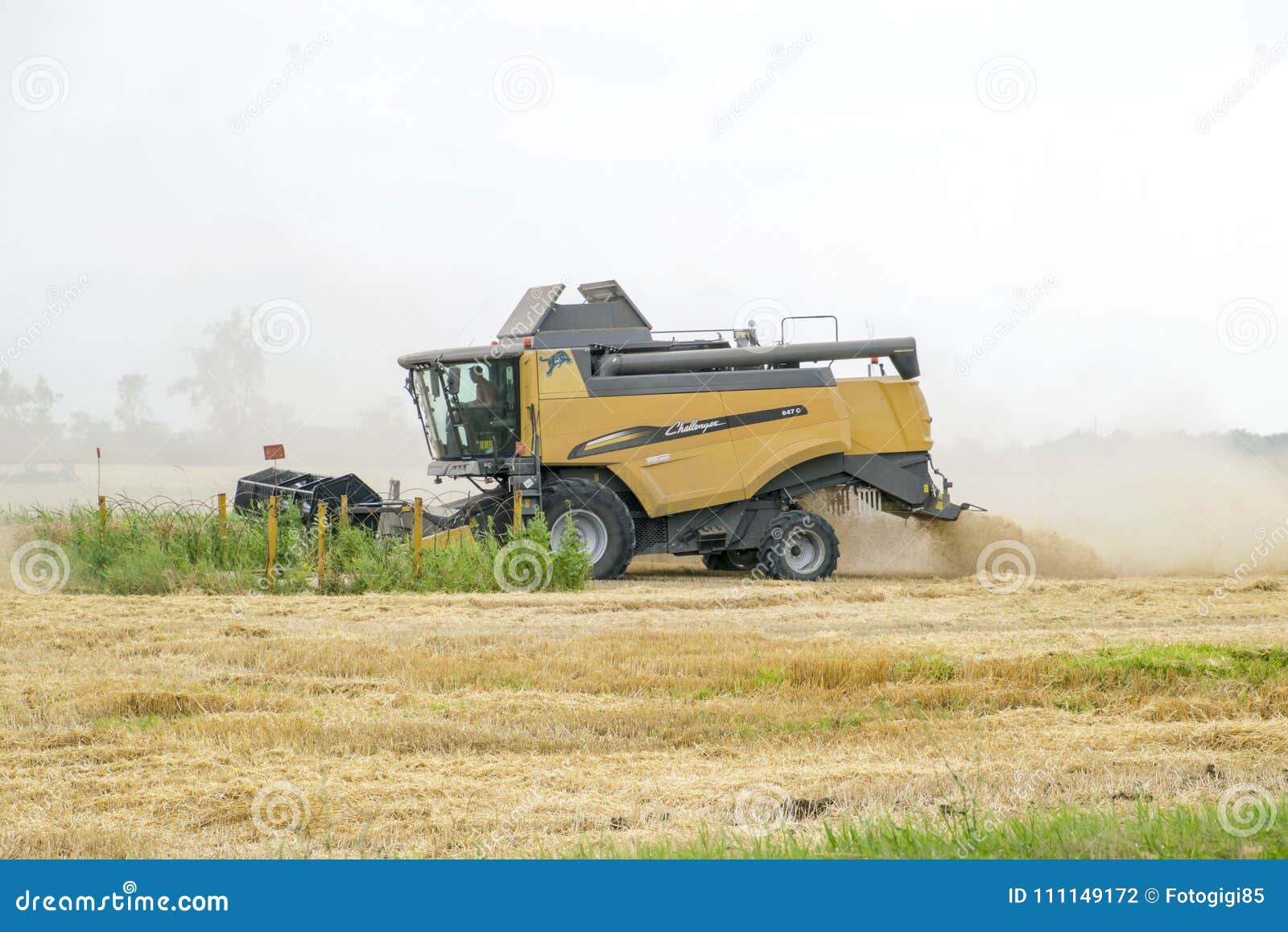 La Russia, Temryuk - 1° luglio 2016: Combain si raccoglie sul raccolto del grano Macchinario agricolo nel campo Raccolto di grano