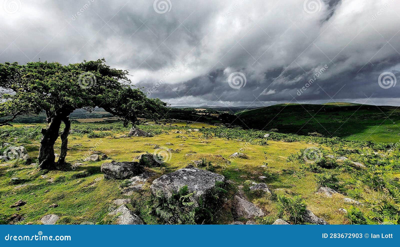 combestone tor, dartmoor national park, devon uk