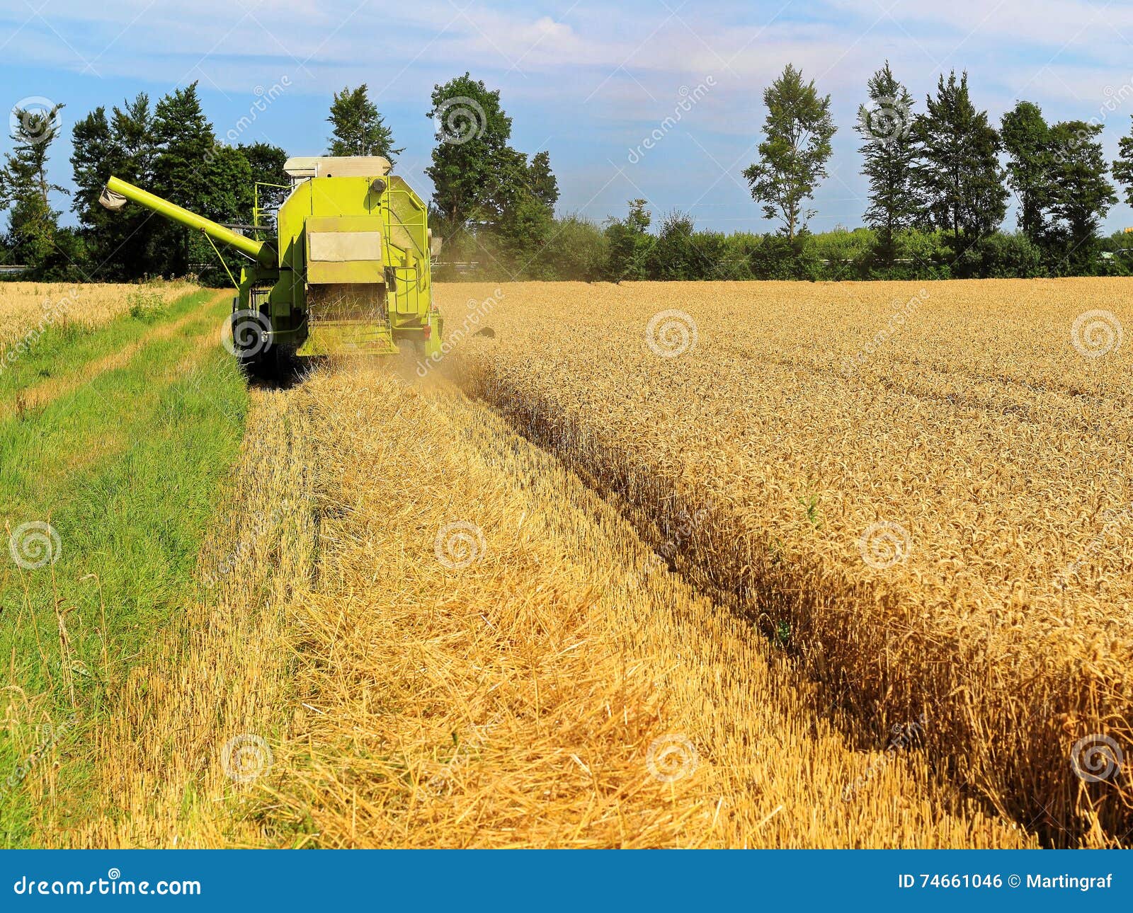 Combine Harvester Cutting Crop Stock Photo Image of european, fast