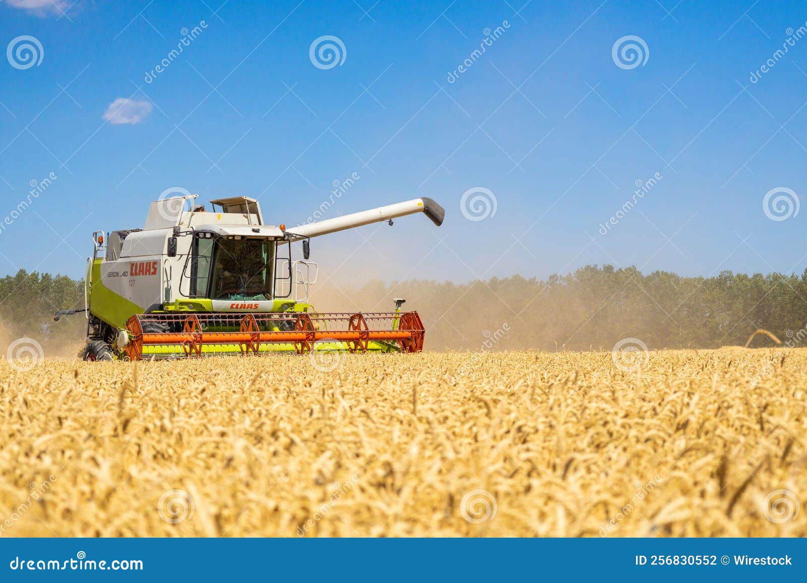 Combine Harvester Harvesting Ripe Golden Wheat on the Field Editorial
