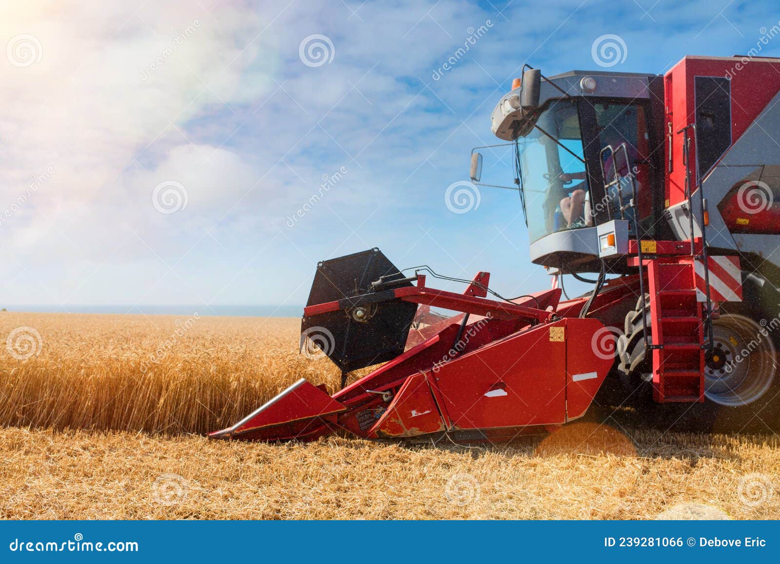 Combine Harvester Working during Grain Harvest in Summer Editorial Photo Image of cutting