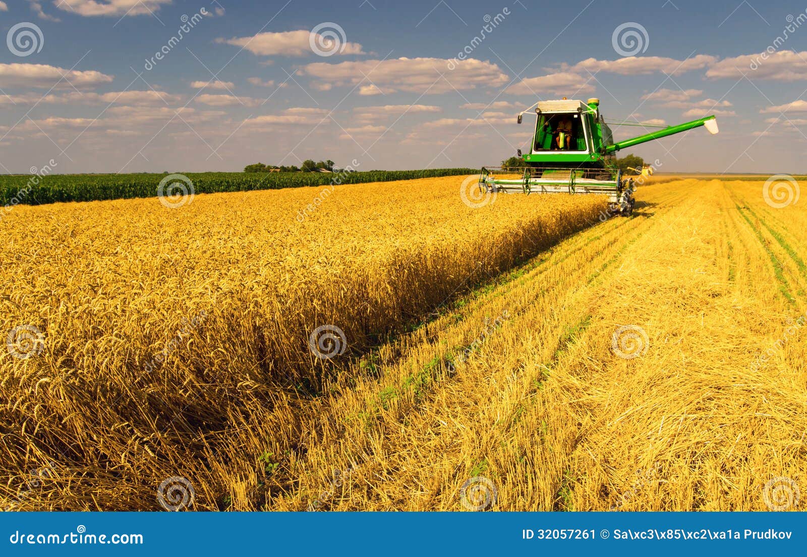 combine harvester working on the wheat field