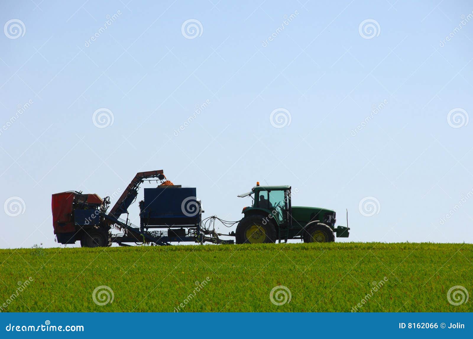 Combine Harvesting Carrots in Green Field Editorial Photo Image of