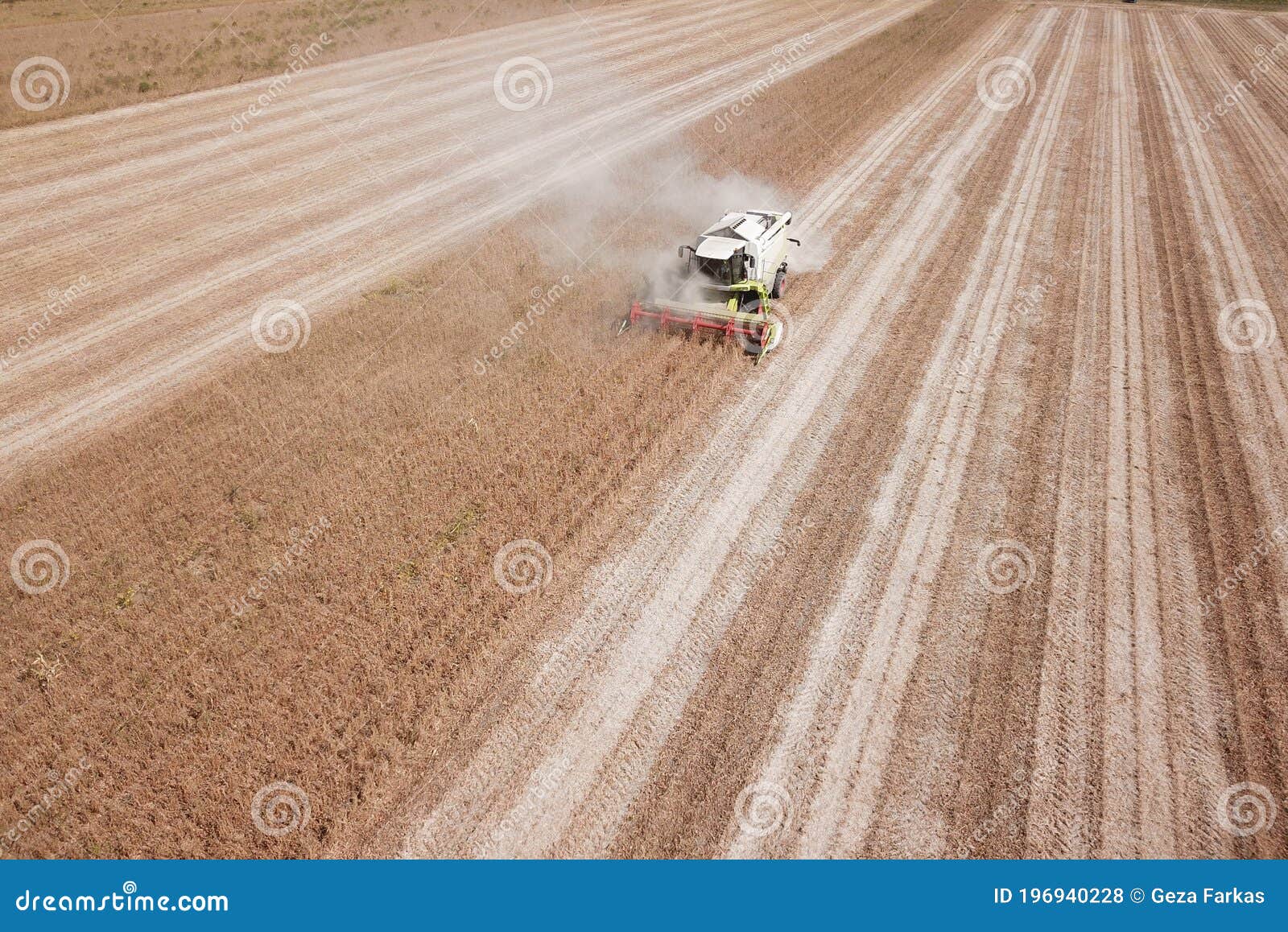 Combine Harvesting Modified Soya Bean Stock Photo Image