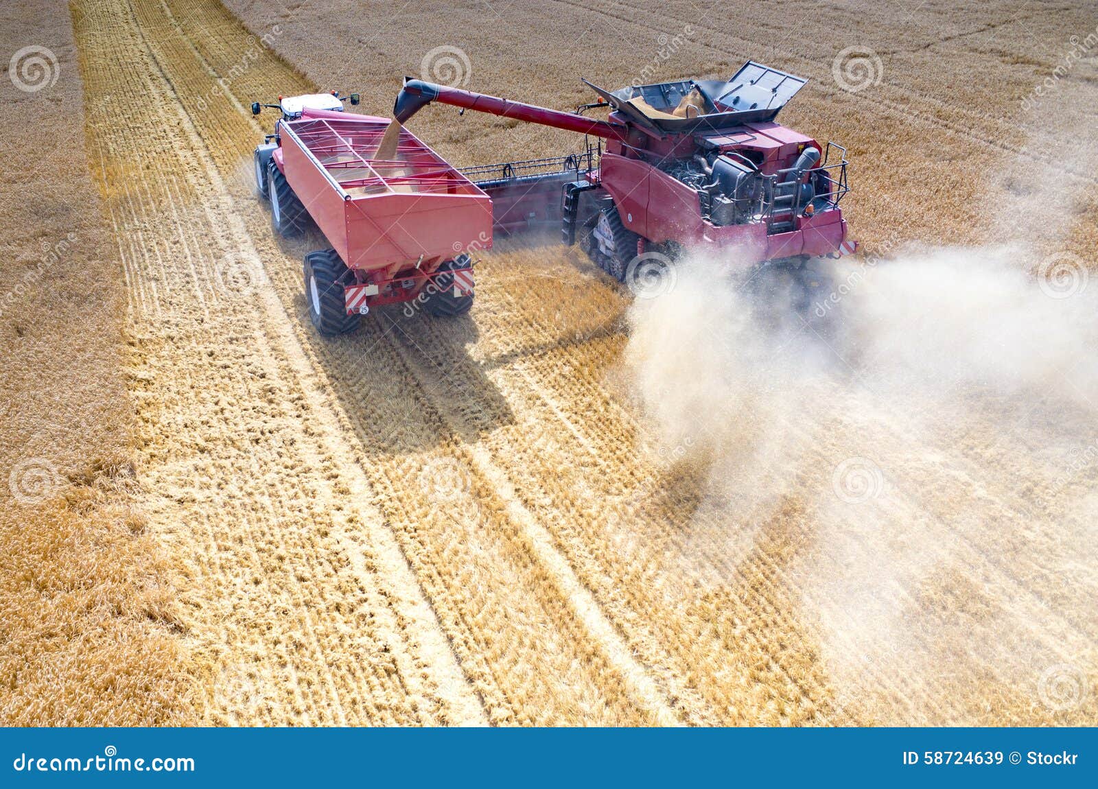 Combines and Tractors Working on the Wheat Field Stock Image Image of