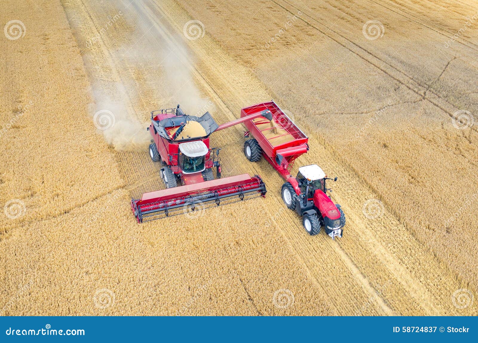 Combines and Tractors Working on the Wheat Field Stock Image Image of