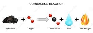 Combustion Reaction Vector Illustration CartoonDealer 274738114